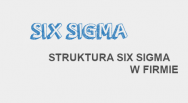 struktura-six-sigma-w-firmie